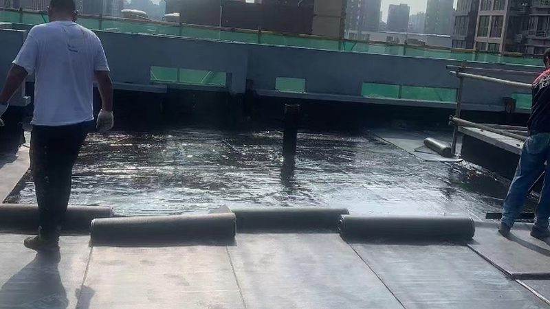 SBS防水卷材与自粘卷材：揭秘十大品牌背后的技术奥秘